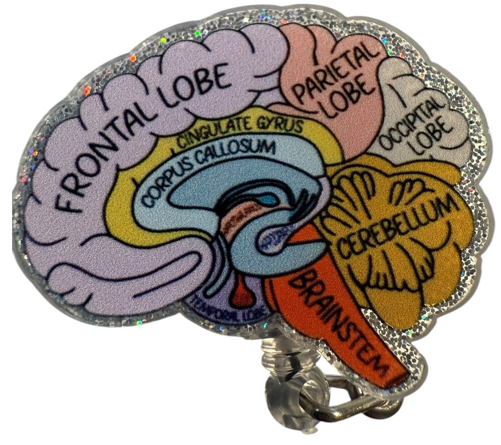 Anatomical Brain Retractable ID Badge Reel, Neurologist, Nurse, Neurology, NWT